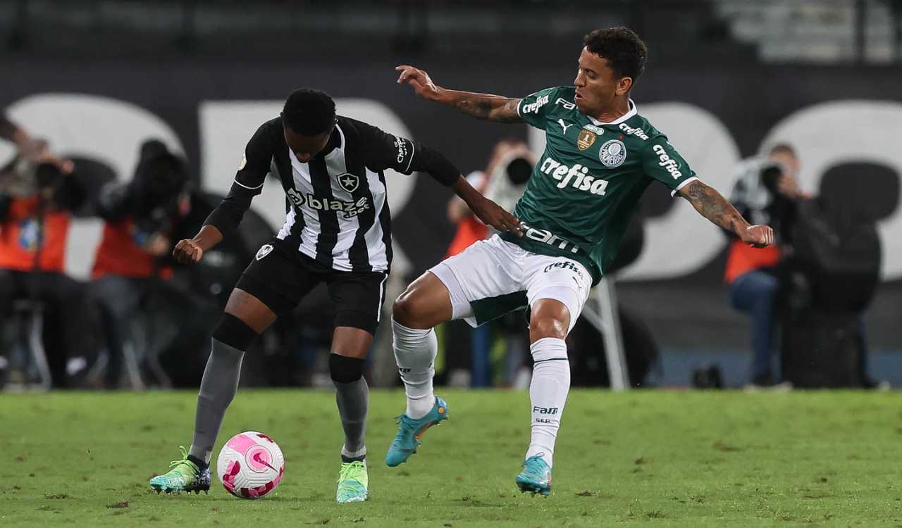 Onde assistir Santos x Palmeiras AO VIVO pelo Brasileirão