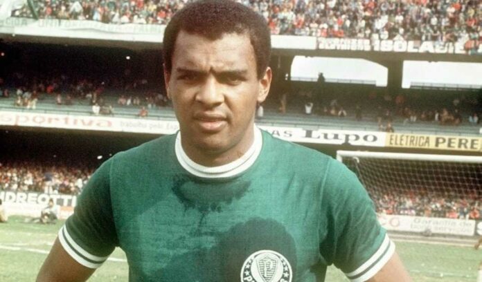 Luís Pereira, eterno camisa 3 do Palmeiras (Foto: Reprodução Web/Palmeiras)