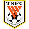 Shandong Taishan